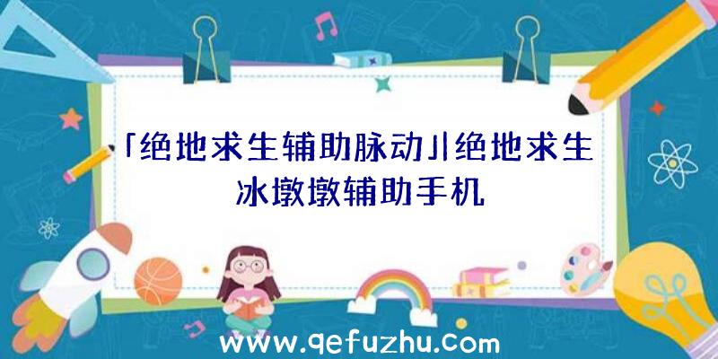 「绝地求生辅助脉动」|绝地求生冰墩墩辅助手机
